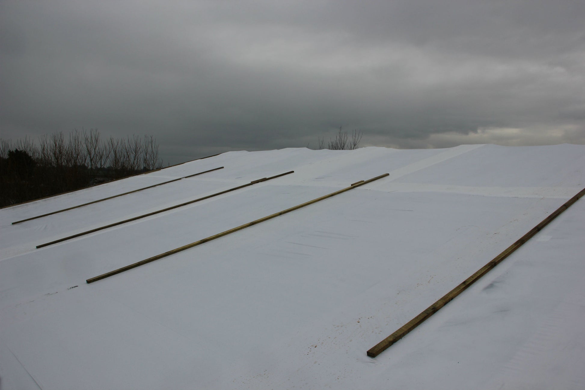 Rhino Roofing Foam